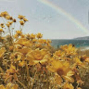 Meet your Posher, Chester